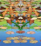 15_Seerosenblaetterspiegel_verkauft