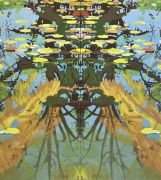 16_Seerosenblaetterspiegel_2_verkauft