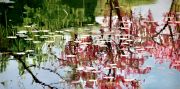 040_Bluehende_Baeume_sich_spiegelnd_Oel_100x200cm